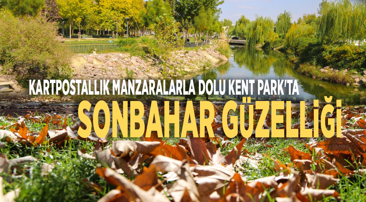 Kartpostallık manzaralarla dolu Kent Park'ta sonbahar güzelliği
